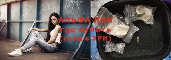 спиды Дмитриев