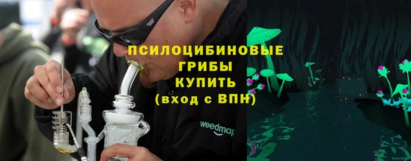 синтетический гашиш Ельня