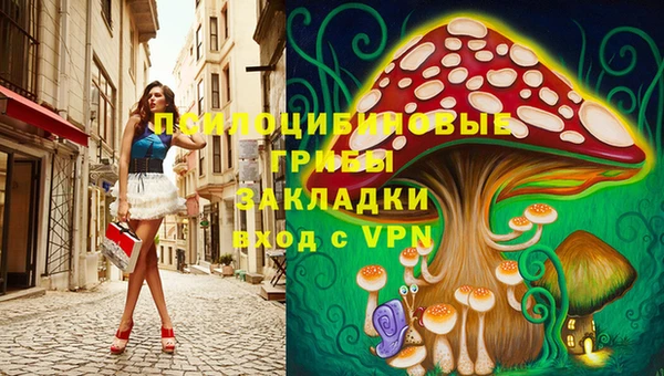 мет Елабуга