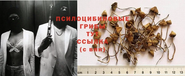 спиды Дмитриев