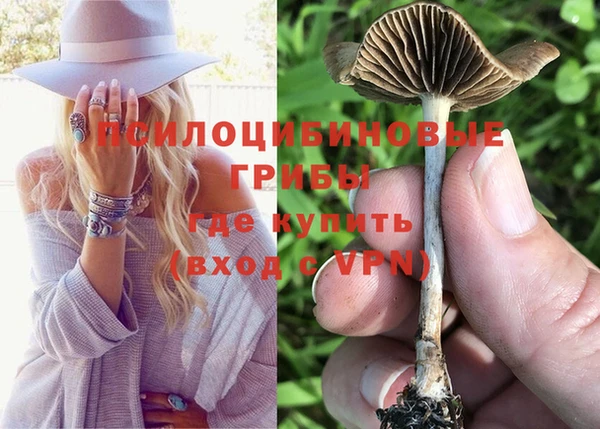 а пвп мука Дмитровск
