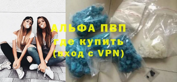 спиды Дмитриев